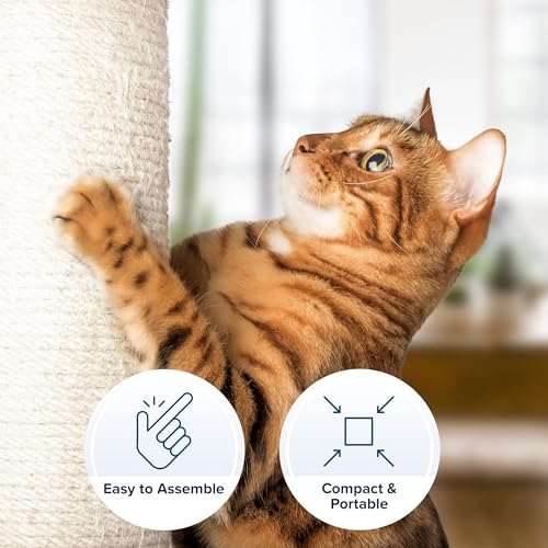 19 Inch Cat Scratching Post with Hammock ? Sisal Fabric and Carpet Small Cat Tree (White)