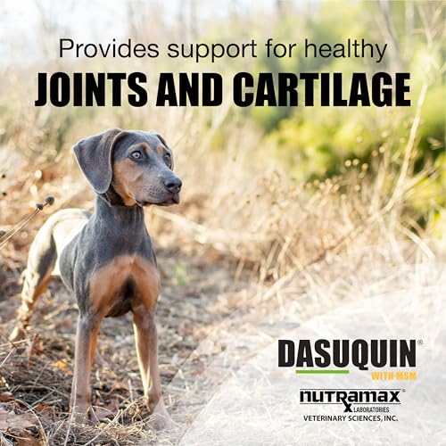 Nutramax Dasuquin MSM Joint Supplement