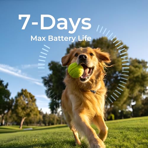 Gen 2 Dog Tracker No Subscription for Medium & Large Dogs