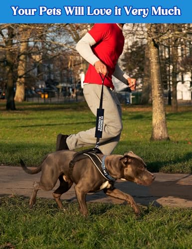 in Training Dog Leash Sleeve 2 Set