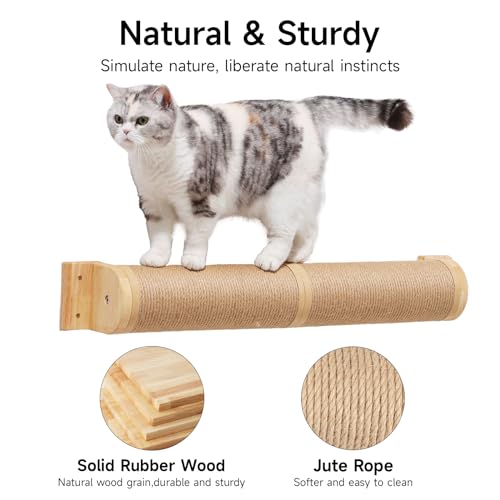 Cat Scratching Post