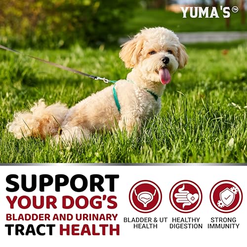 Cranberry Supplement for Dogs (Urinary & Bladder Multivitamin / 170 Chews)