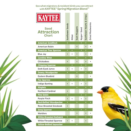 Wild Bird Food (Spring Migration)