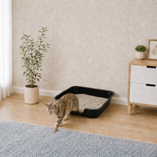 Extra Large Low Entry ABS Cat Litter Box (Large (Pack of 1) / Black)