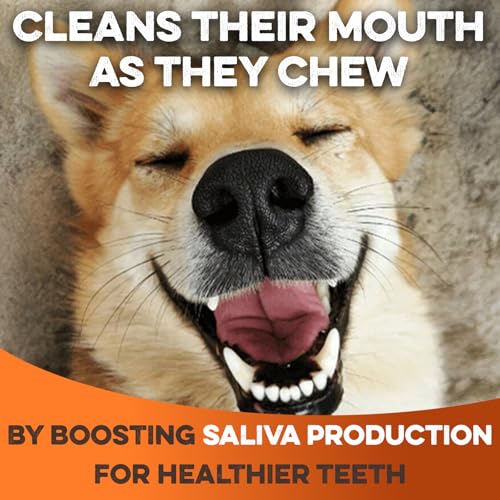 Beef Collagen Chew Sticks for Dogs