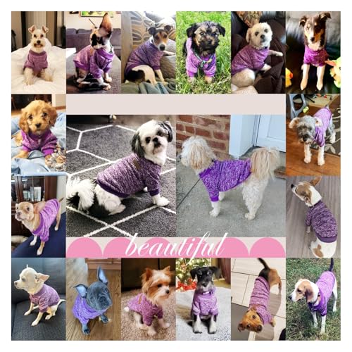 Dog Sweaters for Small Dogs (Purple / X-Small)
