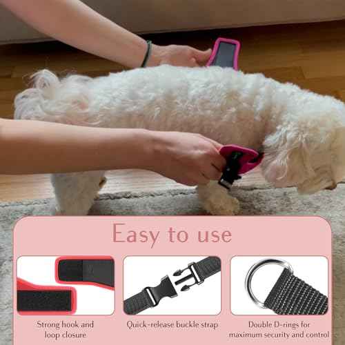Comfort fit Step (M (Chest 17"-18.5") / Red)