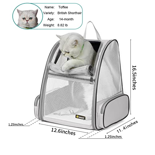 Innovative Traveler Bubble Backpack Pet Carriers for Cats and Dogs (Light Grey)