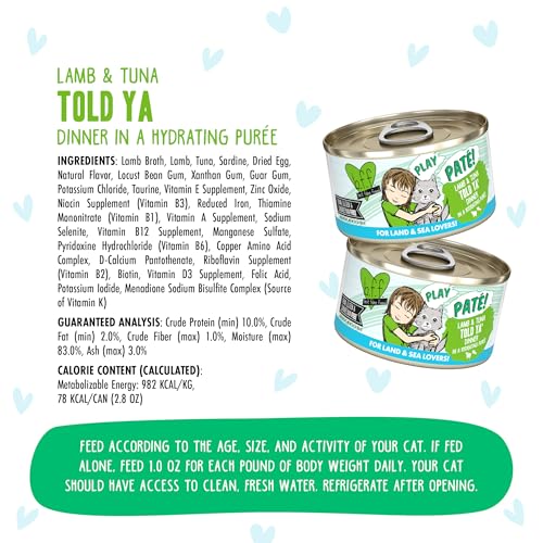 B.F.F. Play Best Feline Friend Paté Lovers (2.8 Ounce (Pack of 12))