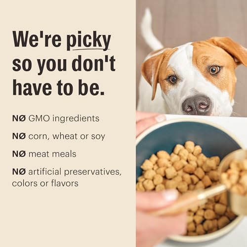 Whole Food Clusters Small Breed Grain Free Beef Dry Dog Food (10 Pound (Pack of 1))