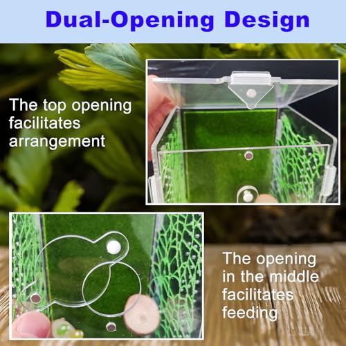 Acrylic Jumping Spider Enclosure (A1)