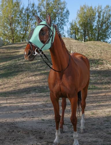 Horse Fly Mask with Ears (Ice Blue / Large)