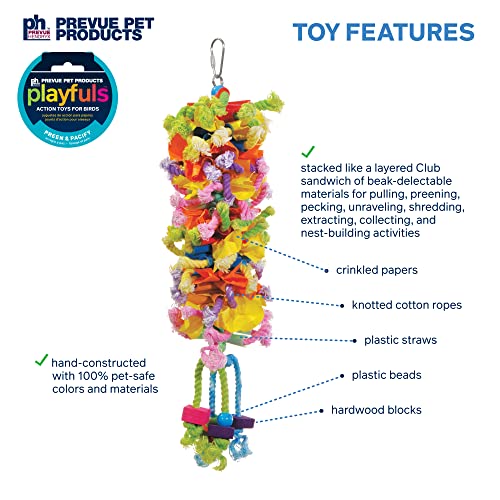 62606 Calypso Creations Club Bird Toy