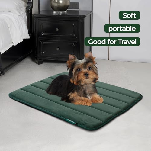 Dog Crate Pad (24.0"L x 18.0"W x 0.8"Th / Green, 1 Pack)