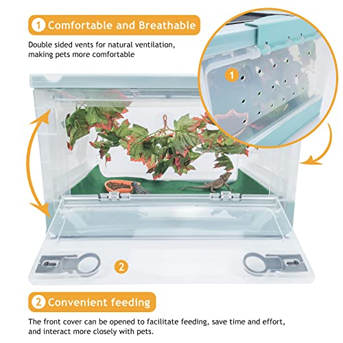 Portable Foldable Terrarium Kit with Wheels for Reptiles Medium (Blue)