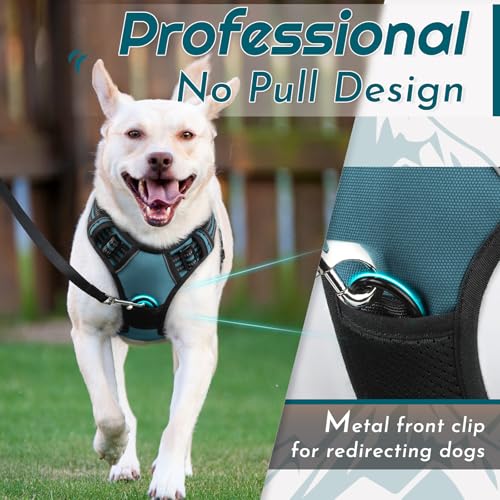 Dog Harness for Large Dogs (X-large / Dark Green)