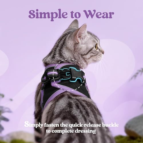 Cat Harness and Leash Set (L / Black-Light Purple)
