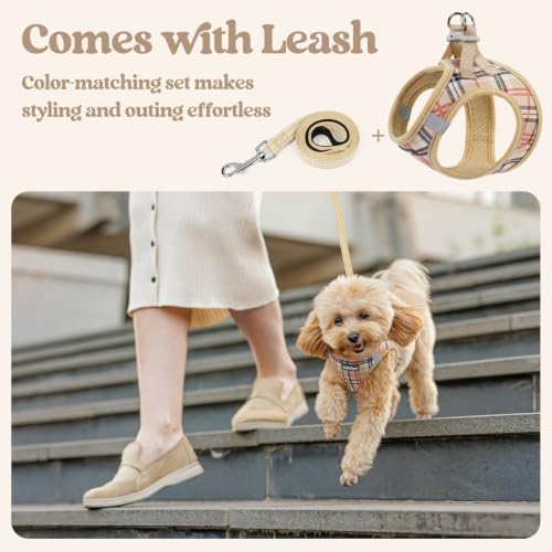 Dog Harness Small Sized and Leash Set (Beige Plaid / Xs (chest: 13.3 - 15.5"))