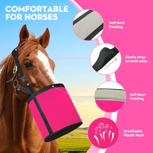 Horse Feed Bag 2 PCs (2 Pcs Magenta)