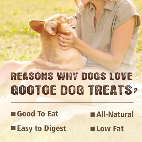 Soft Chicken Dog Treats (1 Pound (Pack of 3))