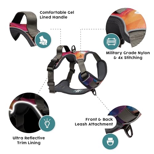 Embark No Pull Dog Harness (S / Aurora)