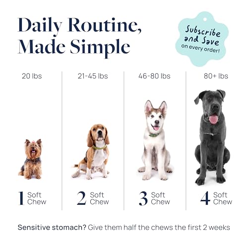 Smart Vitality Dental Support Dog Soft Chews (60 ct / Dental Support)