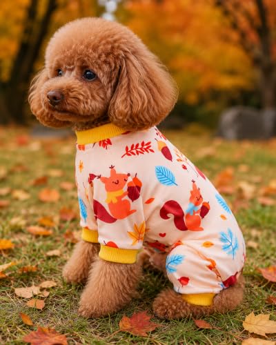 4 Pack Dog Pajamas Fall Pumpkin for Small Dogs (Medium)