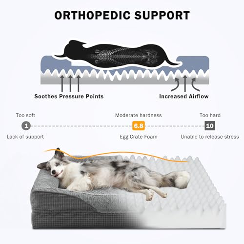 Orthopedic Dog Beds Large Sized (XL (42"x 32"x 7.5") / Grey)