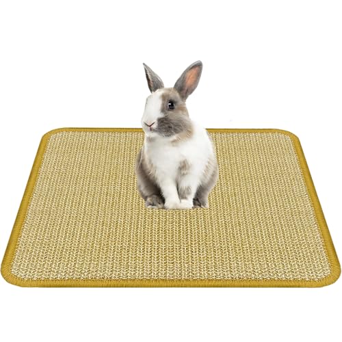 Bunny Scratch Pad (1PC)