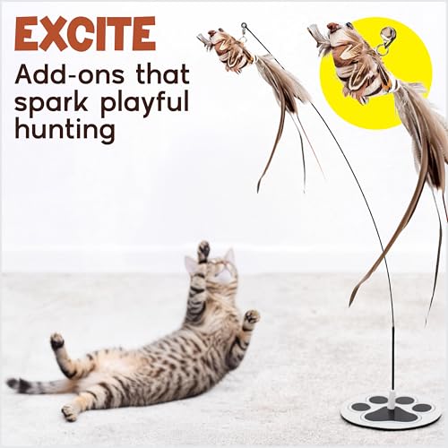 Bird Toy for Cats (Feather Frenzy)