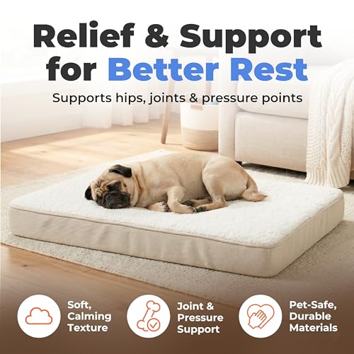 Orthopedic Dog Bed with Memory Foam (Beige / 41" x 29" x 4")