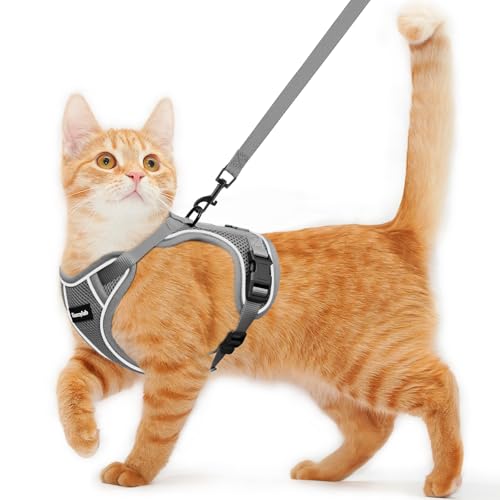 Cat Harness and Leash for Walking Escape Proof Soft Adjustable Cat Leash (Grey / XS (4-6lb))