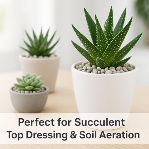 Horticultural Pumice for Plants (Pumice for Plants / 3 qt)