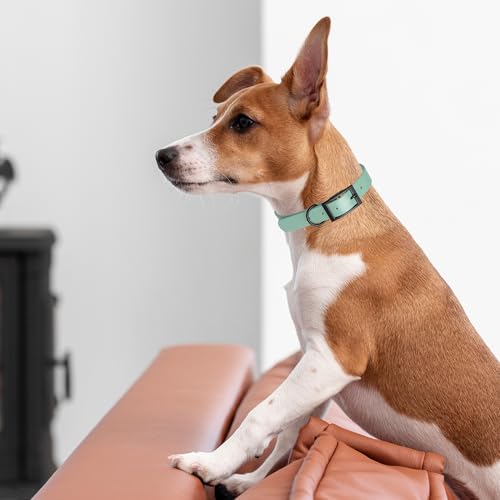 Biothane Waterproof Dog Collar Strong Coated Nylon Webbing with Black Hardware Odor (W1/2" x L9-12" / Sage Green)