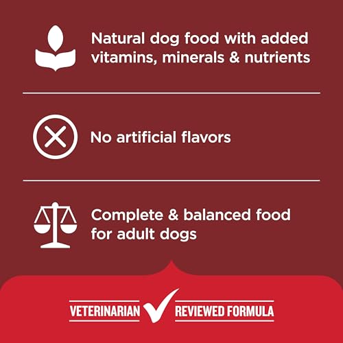Dry Dog Food Beef (5 Pound (Pack of 1))