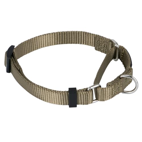 Martingale Collar for Dogs Small Green (Small / Military Green)