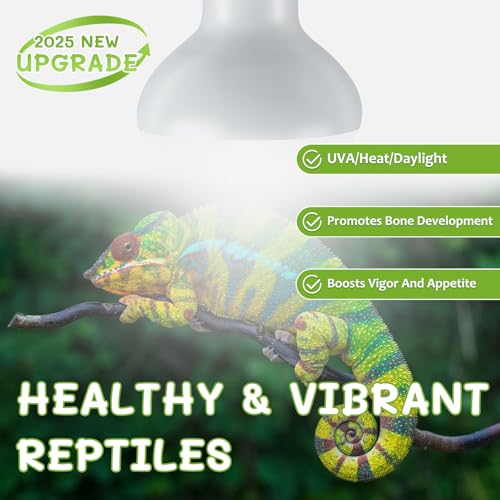 Reptile Heat Lamp Bulbs (Basking Bulb / 2*75)