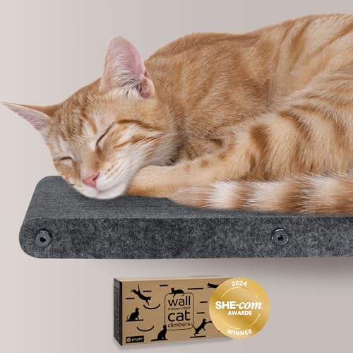 Cat Wall Shelf (Charcoal / 1 Long Cat Climber)