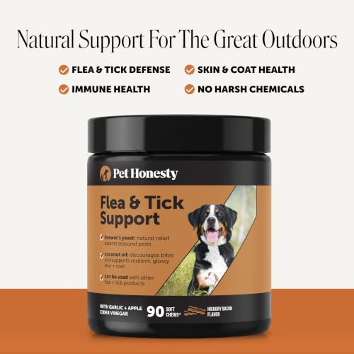 Flea and Tick Prevention for Dogs