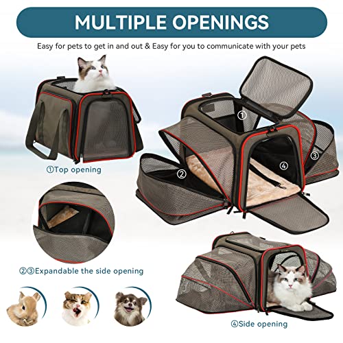 Airline Approved Expandable Large Cat Carrier Small Dog Carrier (17.0"L x 11.0"W x 11.0"H / Gray Brown)