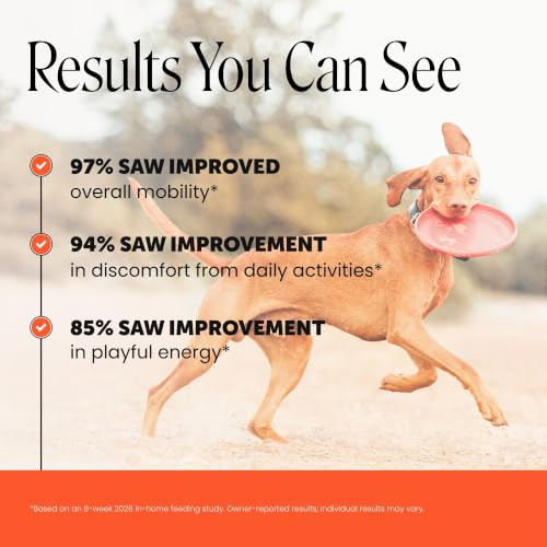 Vet Recommended Hip and Joint Supplement for Dogs (180 Count)