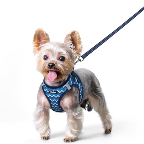 Dog Harness Small Sized and Leash Set (Blue Zigzag / Xs (chest: 13.3 - 15.5"))