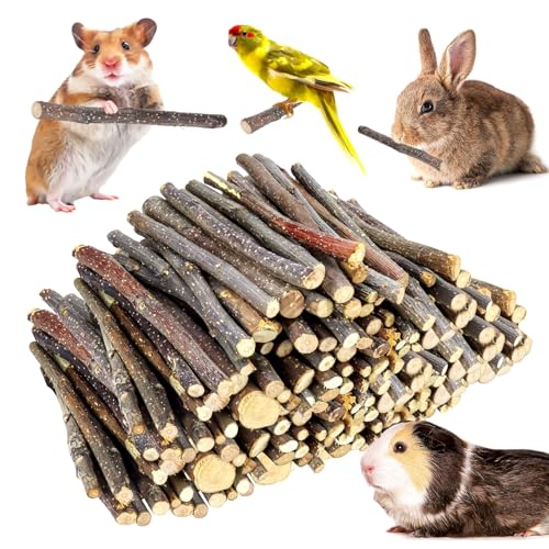 2lb Small Apple Sticks for Small Animals (900g)