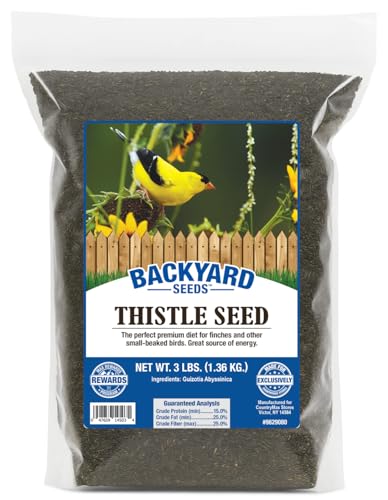 CountryMax 3LB Nyjer Seed for Finches & Songbirds