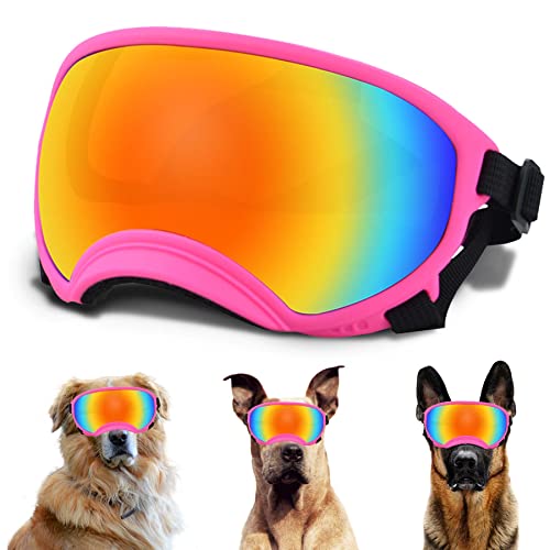 Large Dog Sunglasses