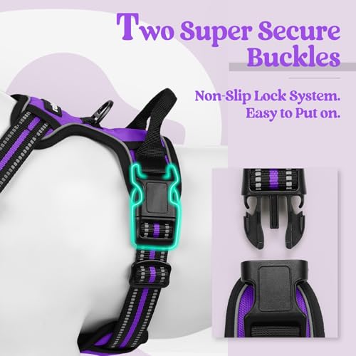 Dog Harness No Pull for Large Dogs with 2 Leash Clips (X-Large / Purple)