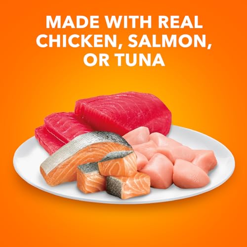 Perfect Portions Healthy Adult Wet Cat Food (24 Count (Pack of 1))