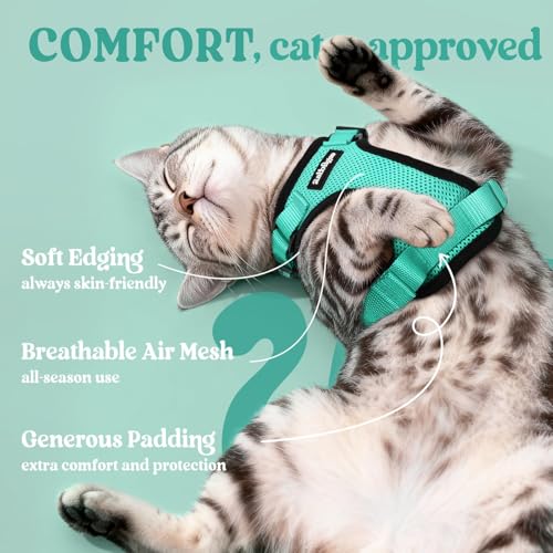 Cat Harness and Leash Set (S / Emerald)