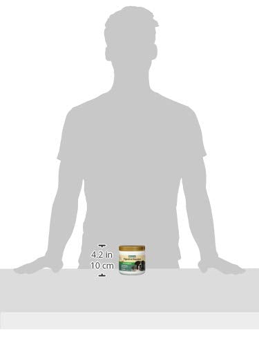 Digestive Enzymes with Pre & Probiotic for Dogs & Cats (8 oz Powder)