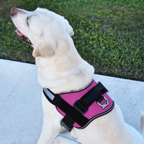 Dog Harness Reflective No (Pink / Girth 22" to 28")